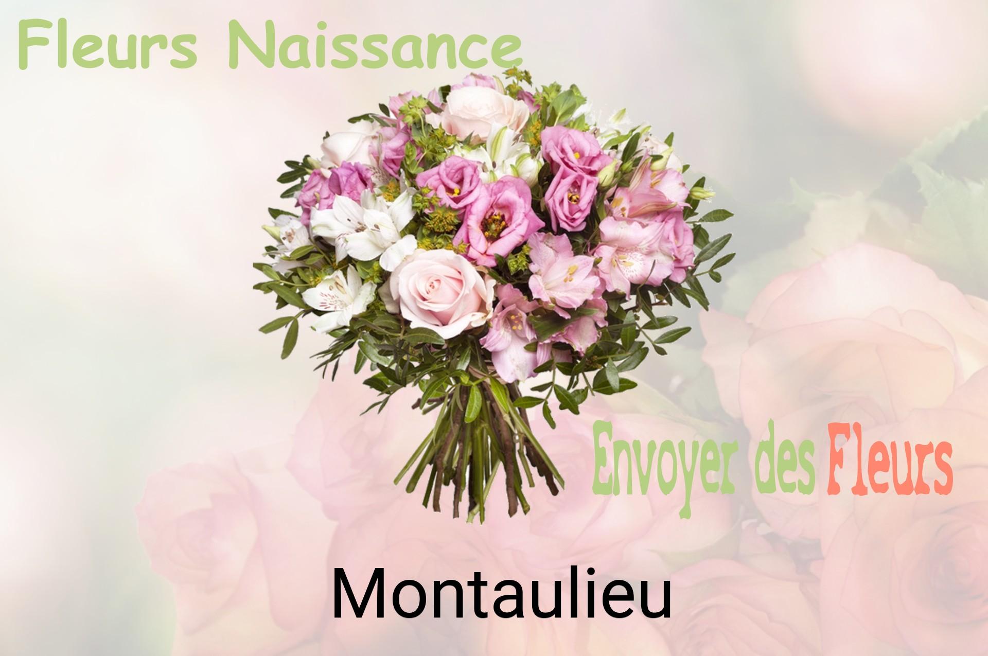 Bouquet de fleurs de naissance livré à Montaulieu